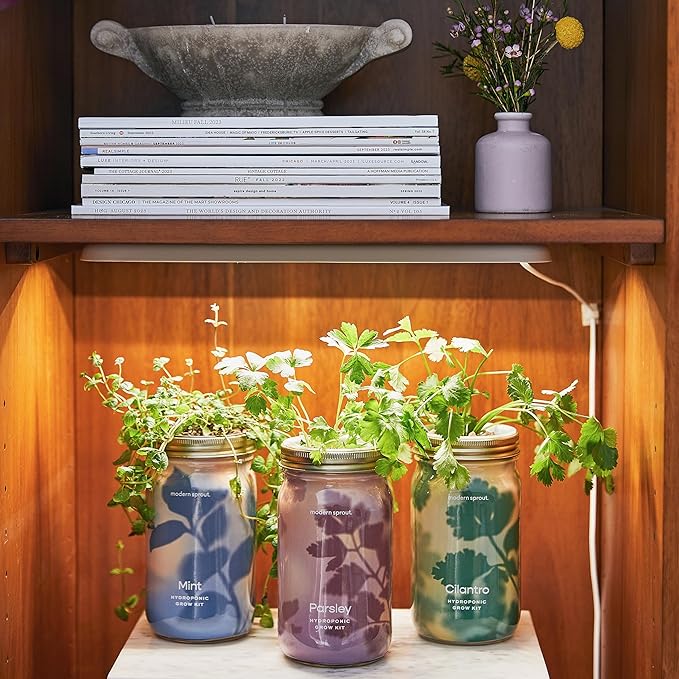 Modern Sprout Mason Garden Jar - Self-Watering Hydroponics Growing System Kit with Organic Herb Seeds - Jar Planter for Indoor Herb Garden - Seed Starter Kit - Home Decor & Gifting - Mint