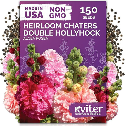 KVITER 150 Chaters Hollyhock Seeds for Planting (Alcea rosea) - Heirloom | Tall Blooms | Pollinator Magnet - Double Hollyhocks Flower Seeds to Plant Outside in Garden, Cottage Borders, Containers