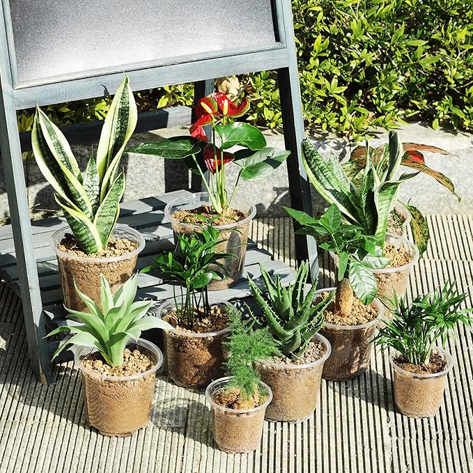 60 Pack 6 Inch Clear Nursery Pots with Drainage Holes, Transparent Plastic Plant Pots, Reinforced Seed Starter Garden Flower Pots, Comes with 50pcs Plant Labels