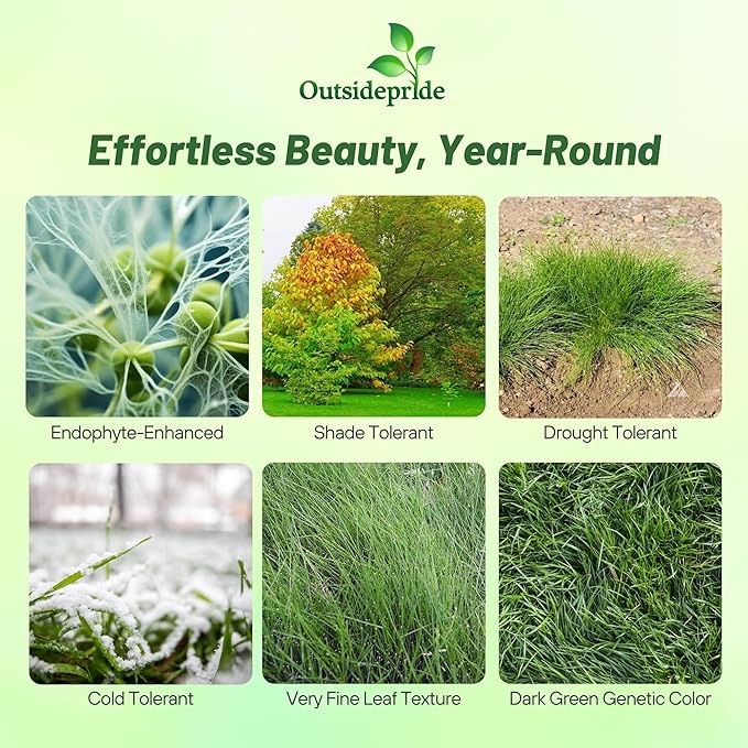 Outsidepride Hard Fine Fescue Grass Seed - 5 lbs. Low-Growing, Drought & Shade-Tolerant, OptiGrowth Coated Seed for Lawn & Turf, Ideal for Low-Maintenance, Dense, & Resilient Green Ground Cover