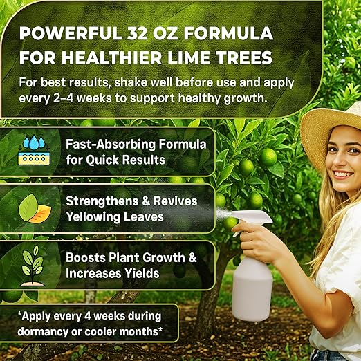 Leaves and Soul Professional Lime Tree Fertilizer Liquid Concentrate - 6-4-6 Blend for Fruit Tree Fertilizer, Garden - Liquid Plant Food for Lime Trees in Pots or Outdoors - 32oz