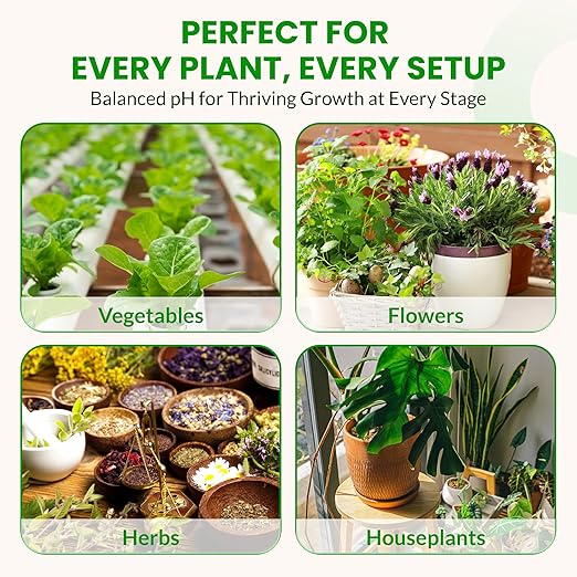 Humboldts Secret pH Down for Plants | Liquid pH Adjuster and Balancer for Soil Coco Hydroponics | Concentrated Phosphoric Acid Solution Supporting Nutrient Uptake and Strong Growth | 32 Ounce