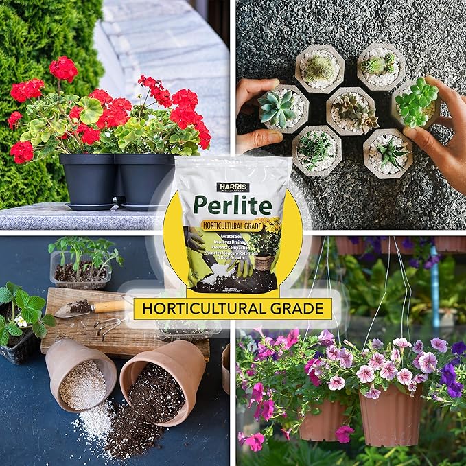Harris Premium Horticultural Grade Perlite for Plants and Gardening, 8qt