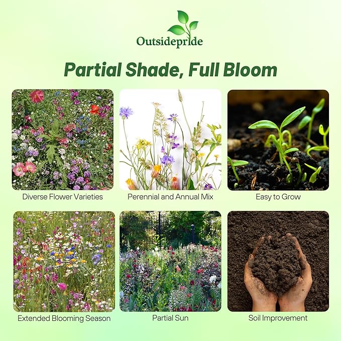 Outsidepride Partial Shade Wild Flower Seed Mix for All States - 5 lbs. Premium Blend of Annual & Perennial Wildflowers, Perfect for Partial Shade Areas, & Outdoor Planting for Gardens & Lawns