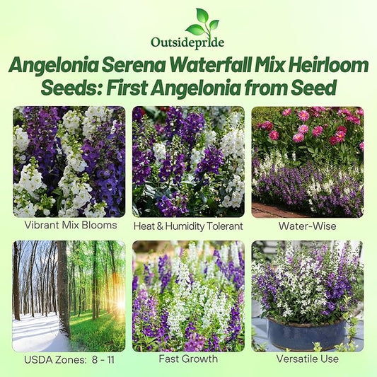 Outsidepride Serena Waterfall Mix Angelonia Snapdragon Seeds for Planting - 15 Pcs Perennial Flower Seeds, Pollinator-Friendly, Heat, Humidity & Drought-Tolerant, Compact Growth Habit for Containers