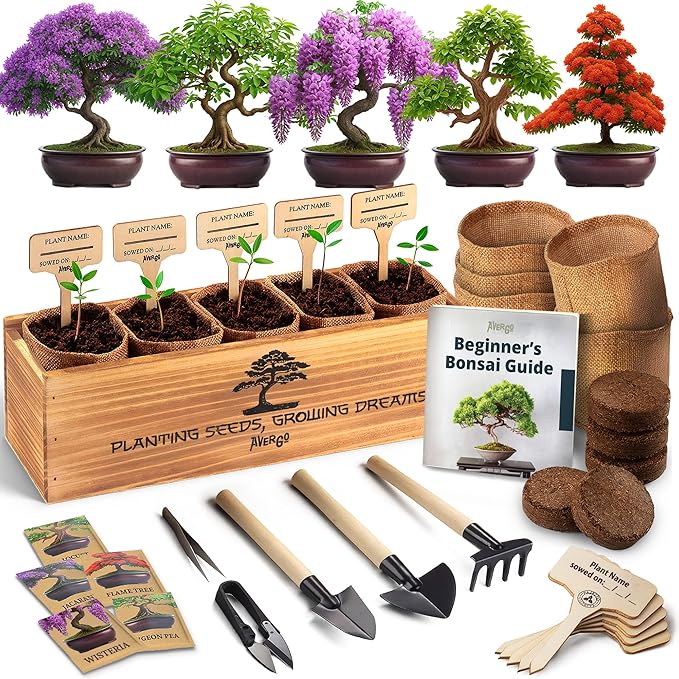 AVERGO Bonsai Tree Kit for Beginners – 5X Unique Japanese Bonzai Trees | Complete Indoor Starter Kit for Growing Plants with Bonsai Seeds, Tools & Planters – Gardening Gifts for Women & Men