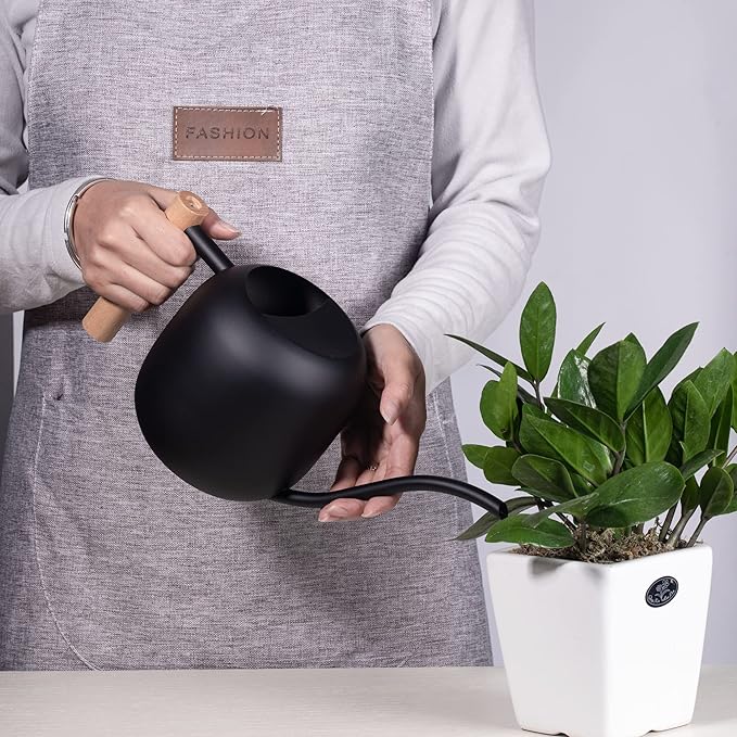 IMEEA Watering Can for Indoor Plants 40oz Stainless Steel Watering Can with Long Spout and Wooden Handle (Black)