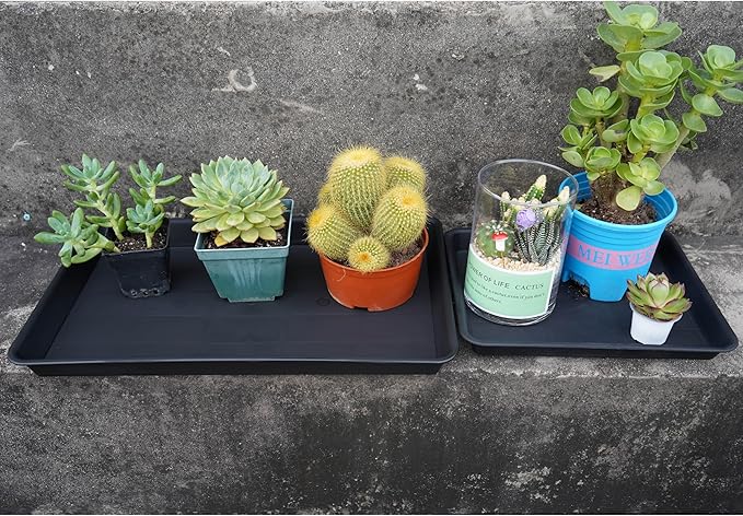 Plant Saucer Growing Trays, Seed Starter Tray, 14"x11", Heavy Sturdy Plastic Microgreens Saucers, Propagation Saucer Rectangular, Humidity Trays, Seedling Seed Starter Growing Tray