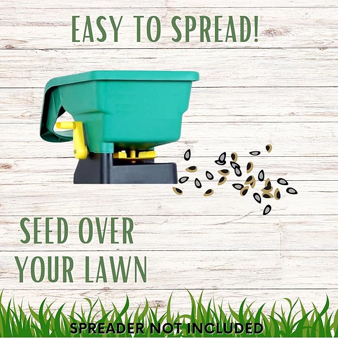 Flawn Seed Kits Mow Less Fine Fescue Grass Seed, 2 lbs, Low Maintenance Lawn, Shade Tolerant, Covers up to 1000 Sqft