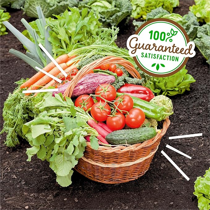 Back to the Roots 100% Organic Blood Meal | Made in The USA | Premium Nutrition for Indoor and Outdoor Plant Gardening