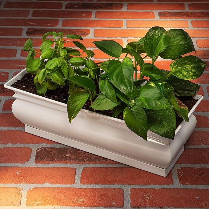 H Potter Herb Pots Indoor Planters with Drainage and Tray White Succulent Planter Window Sill Box Large Rectangular Outdoor Kitchen Flower Pot Garden Succulents Plants Ivory