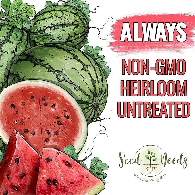 Seed Needs Watermelon Seeds for Planting Cal Sweet Watermelons - Non-GMO Heirloom & Untreated - Grow an Outdoor Home Grown Garden Filled with Sweet Fruits (1 Pack)