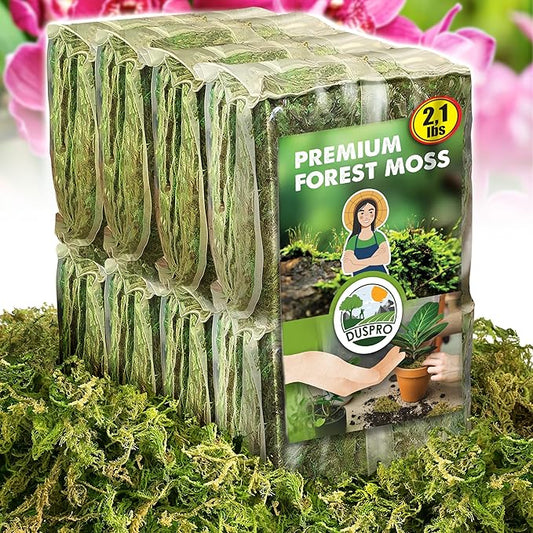 DUSPRO Dried Moss for Potted Plants, Forest Orchid Moss for Potting Mix, Sphagnum Potting Moss for Plants Indoor, Real Moss Soil Cover for Houseplant (2.1 LBS)