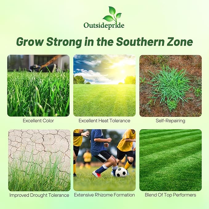Outsidepride Combat Extreme Southern Zone Grass Seeds for Lawn - 25 lbs. SPF 30 Heat & Drought Tolerant Mix of Turf Type Fescue & Hybrid Bluegrass Seed with OptiGrowth Coating Enhanced Germination