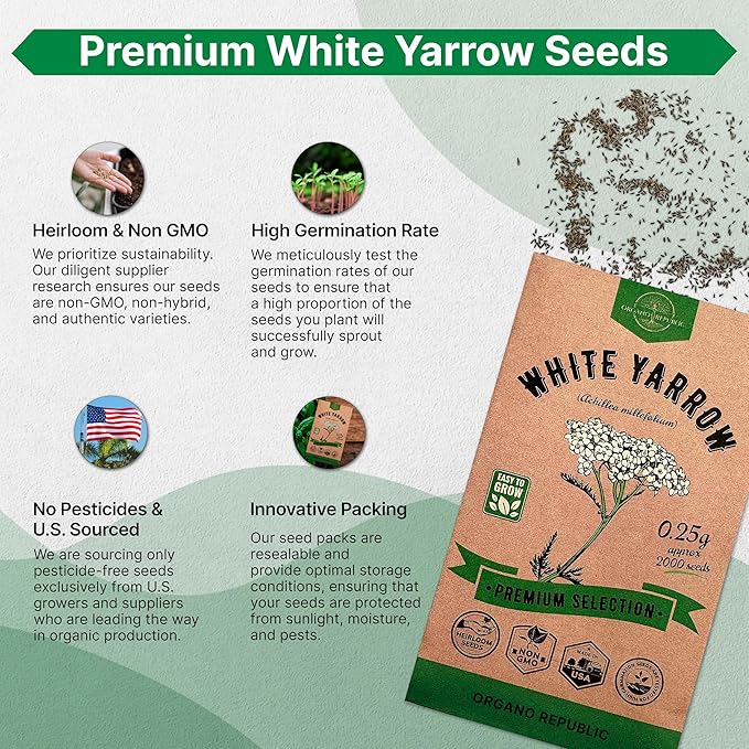 White Yarrow Seeds Pack 0.25 G - Over 2000 Non-GMO Heirloom Yarrow Seeds for Planting Herbs in Individual Seed Packet, Herbs Seeds for Planting Home Garden Indoor & Outdoor Gardening