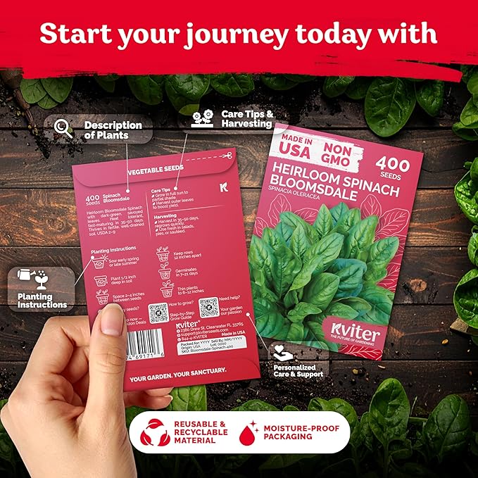 KVITER 400 Bloomsdale Spinach Seeds (Spinacia oleracea) — Non-GMO & Heirloom, Heat Tolerant, Cut and Come Again — Spinach Organic Vegetable Seeds for Planting in Outdoor & Indoor Garden, Containers