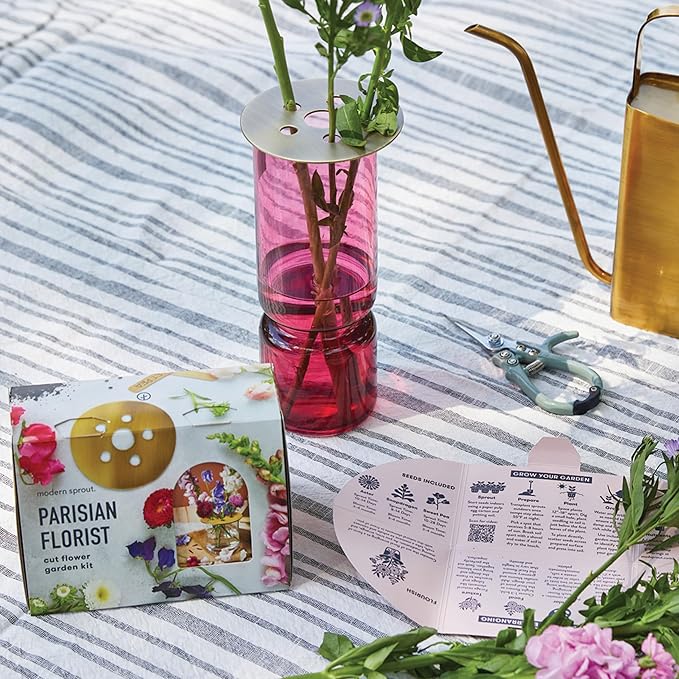 Modern Sprout Travel Trio Parisian Flower Shop; Travel-Inspired Seed Kit with Brass Flower Frog, Organic Seed Starting; Gardening Gift