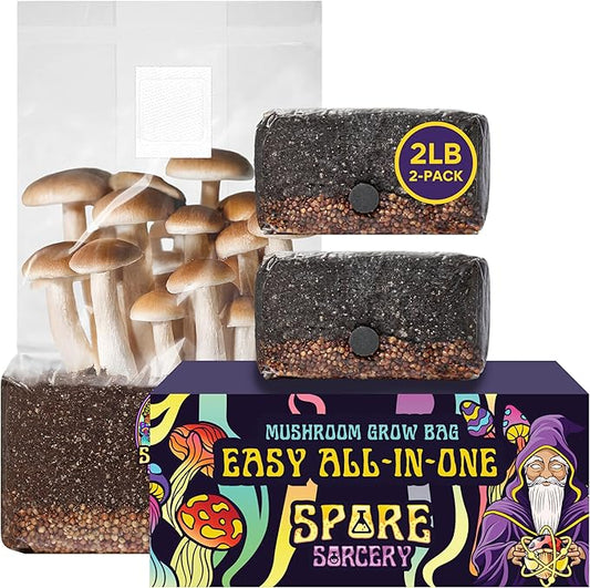 2 LB 2-Pack All-in-One Grow Bag: Up to 32oz of Mushrooms! Nutrient-Enhanced, Injection Port, Just Add Your Own Spores & Grow Like Magic (2 x 2 LB Bags)