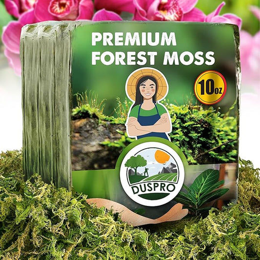 DUSPRO 10oz Dried Forest Moss for Potted Plants, Ideal for Orchid Moss Potting Mix Indoor Moisture Repotting Orchid Soil Medium, Terrarium Decor, Natural Reptile Vine