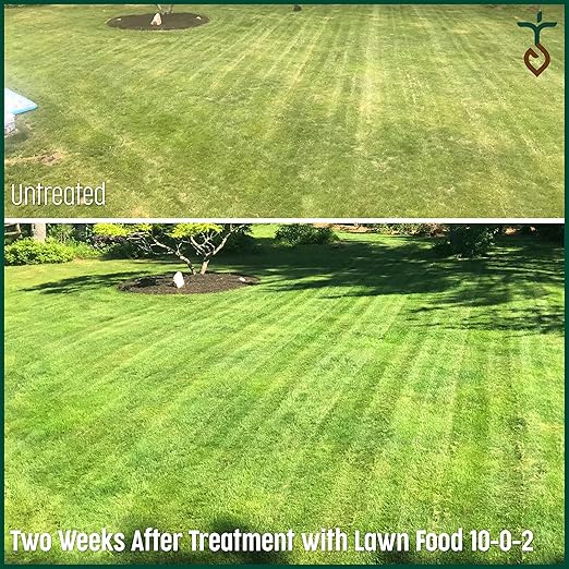 Purely Organic Products Lawn Food 10-0-2, 15 LB Bag (Covers 3,000 Square Feet)