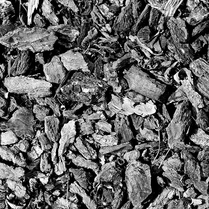 Char Bliss (1 Cubic Ft) - Organic Biochar for Plants - OMRI-Listed Biochar Soil Amendment Organic - Horticultural Charcoal for Plants, Gardening, & Potting Soil - 100% Natural and Renewable Bio Char