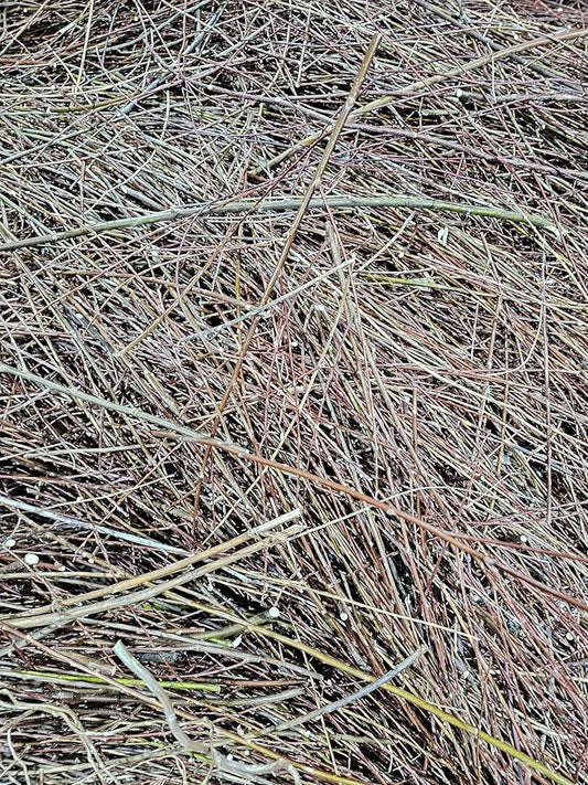 100% Natural Willow Tree Straw | Mulch, Animal Bedding (10 Pounds)