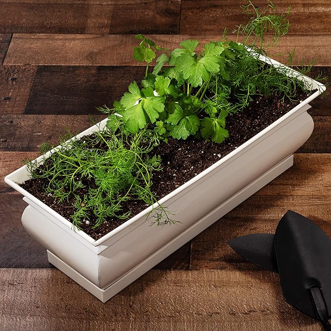 H Potter Herb Pots Indoor Planters with Drainage and Tray White Succulent Planter Window Sill Box Large Rectangular Outdoor Kitchen Flower Pot Garden Succulents Plants Ivory