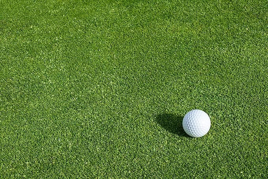 Creeping BentGrass Seeds, 1 Pound