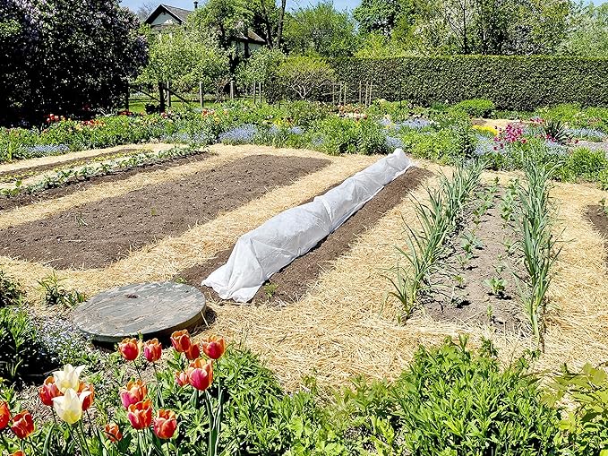 Blue Mountain Hay | Organic Garden Straw (10 lb) | Natural Mulch for Gardening, Flower Beds, Yard Landscaping, New Lawn Grass Seeding, Composting | Covers up to 150 sq ft