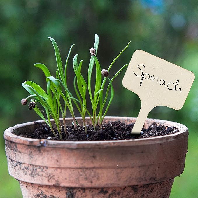 OwnGrown Wooden Plant Tags - 60 Labels and Marker Pen - Wooden Garden Sign for Identification - Seedling Tags for Gardening, Garden Stakes for Potted Plants, Herbs, Vegetables - 4"x2.4"