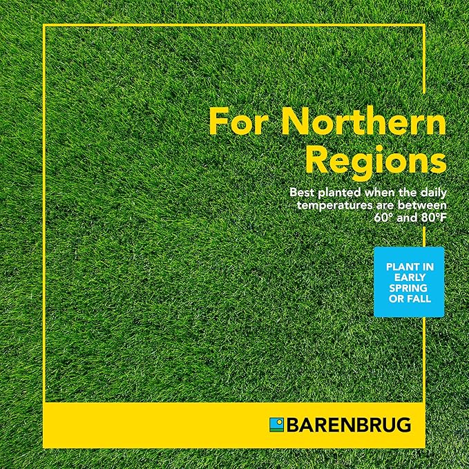 Barenbrug Wonderlawn Sun and Shade Grass Seed Mix for Lawn Care and Landscaping, 3 lbs. Bag